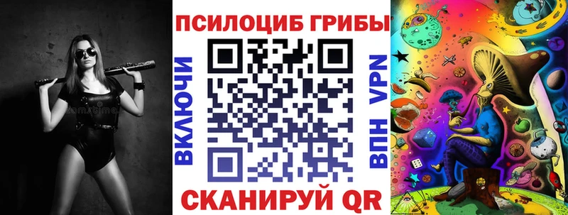 Псилоцибиновые грибы Psilocybine cubensis  Бологое 